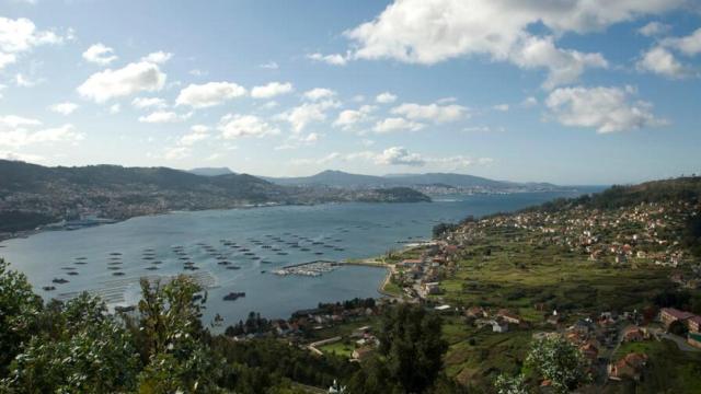 Vista de Moaña.