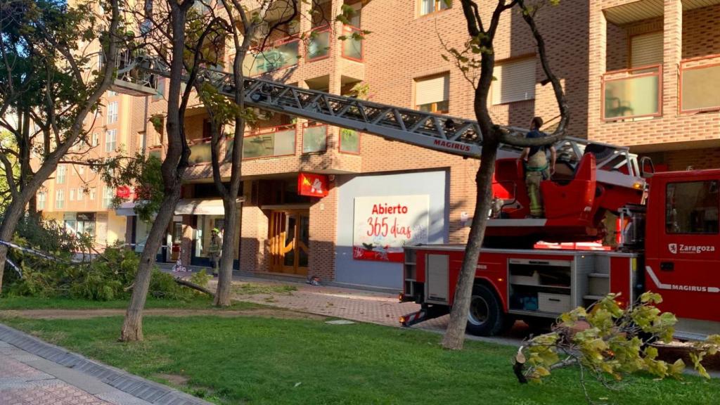 Intervención en el barrio del Actur.