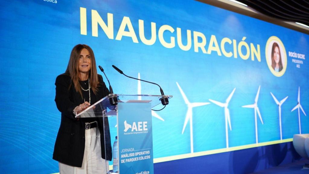 Rocío Sicre, presidenta de AEE, en la inauguración de la Jornada Análisis Operativo de Parques Eólicos 2024.