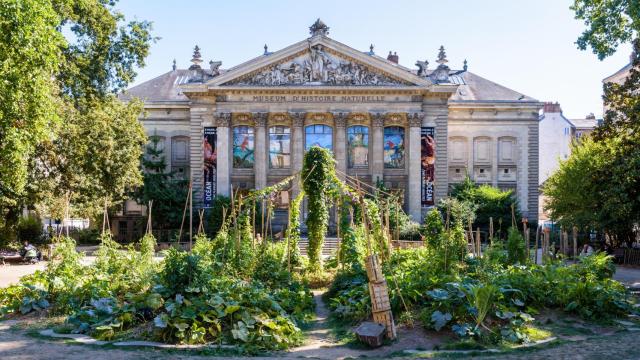 Museo de Historia Natural de Nantes.