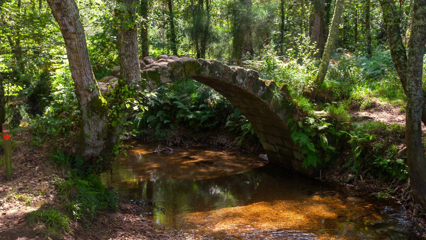 Ponte de Xuño