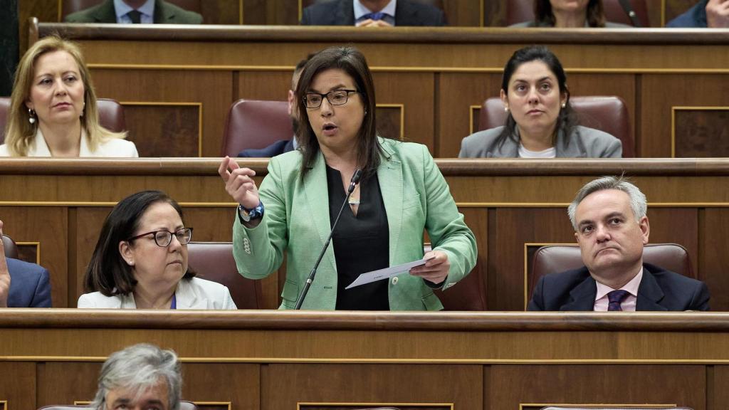 Ana Belén Vázquez en una intervención en el congreso.