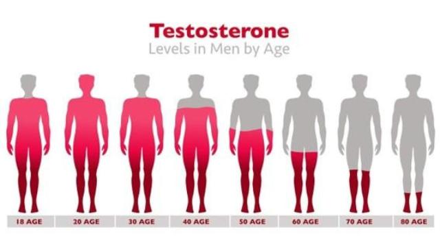 Niveles de testosterona en los hombres.