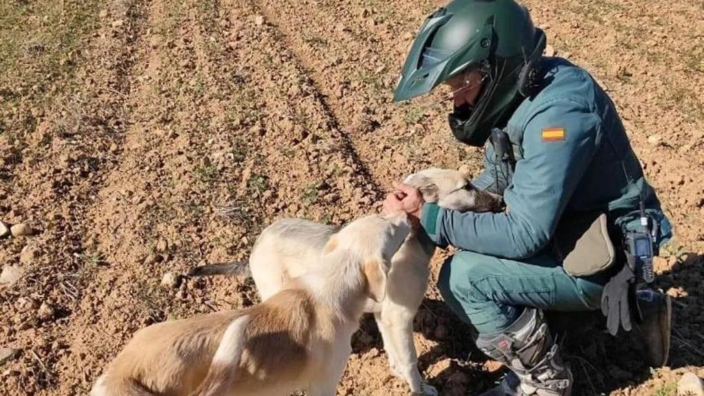 Foto: Guardia Civil.