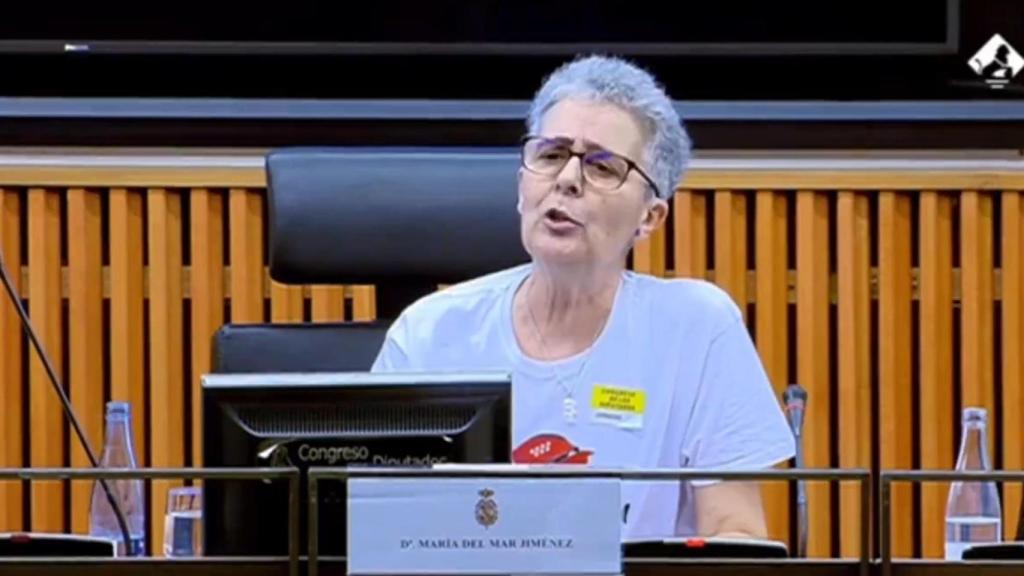 María del Mar Jiménez Betancor de Unión Kellys, en el Congreso este viernes.