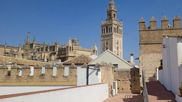 Vistas desde la azotea de la sede de la Fundación Biodiversidad, en Sevilla