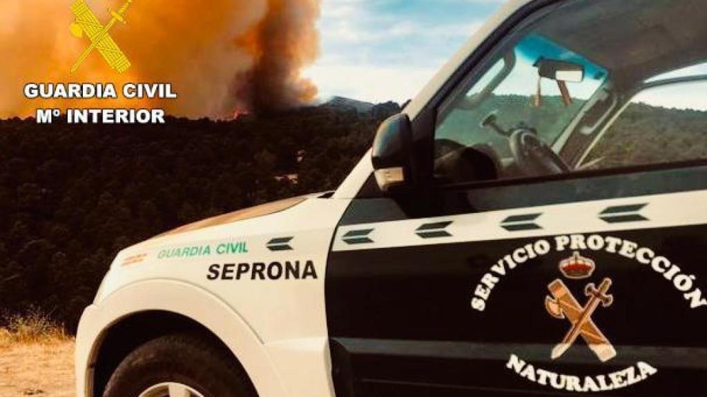 La Guardia Civil con el incendio intencionado de Ávila al fondo