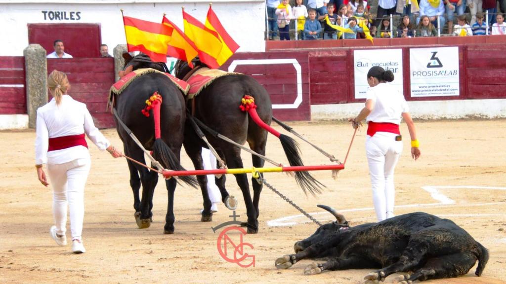 El festival taurino solidario de Ledesma