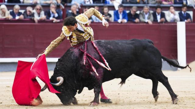 El diestro Roca Rey durante el festejo taurino de la Feria de Octubre que se celebra este domingo en la Monumental de Las Ventas, en Madrid. Foto: EFE/Borja Sánchez-Trillo