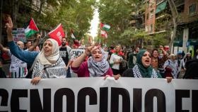 Manifestación pro palestina celebrada en Madrid pidiendo el alto el fuego de Israel.