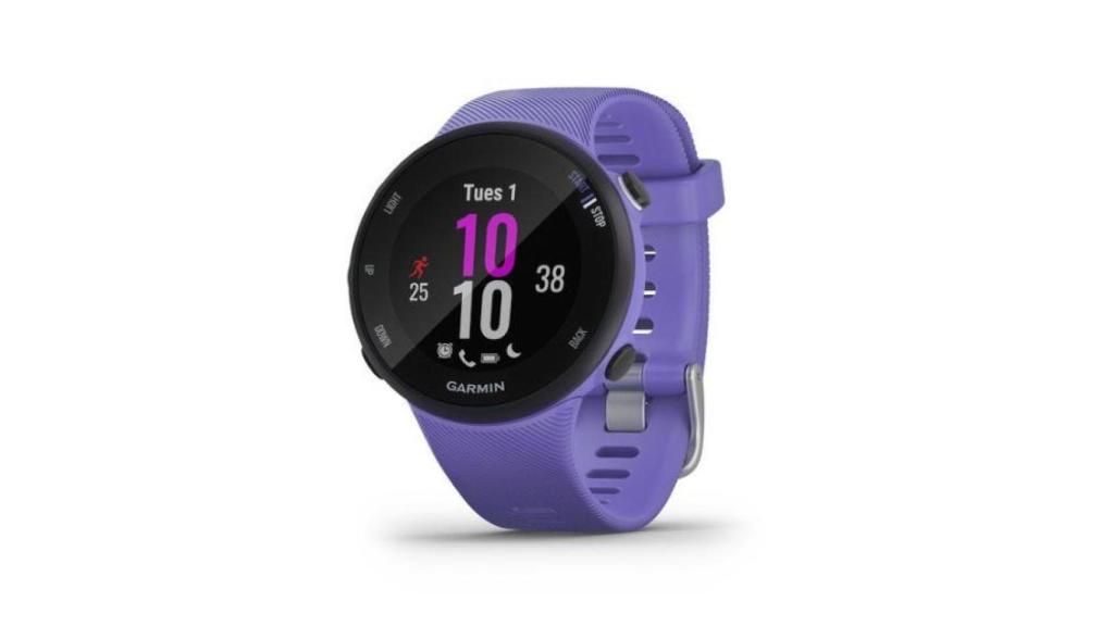 Smartwatch Garmin Forerunner