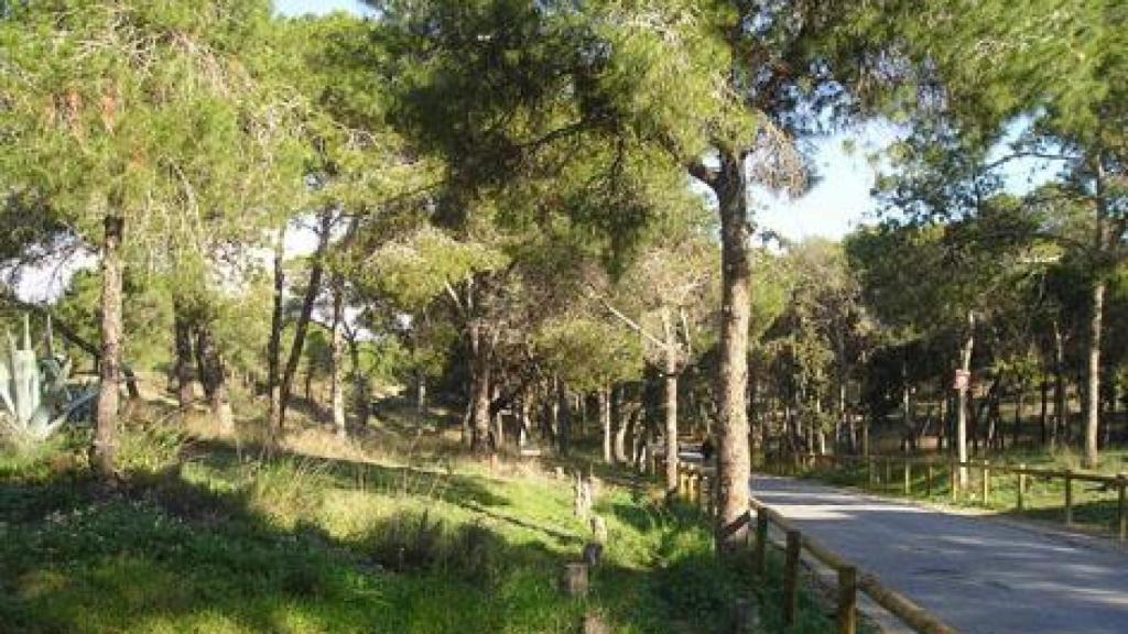 El Parque Alfonso XIII de Guardamar del Segura.