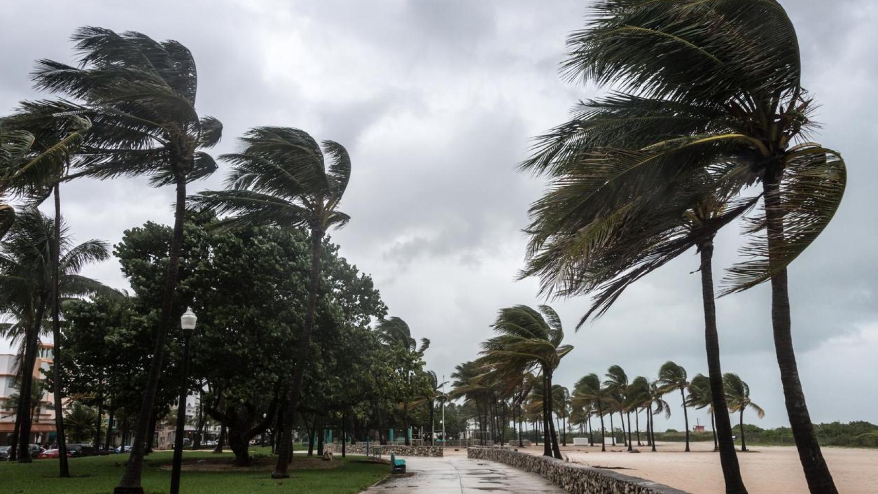 Tormenta con rachas de fuertes vientos en el paseo marítimo.