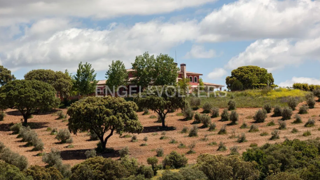 Finca en venta en Guadalajara. Foto: Idealista.