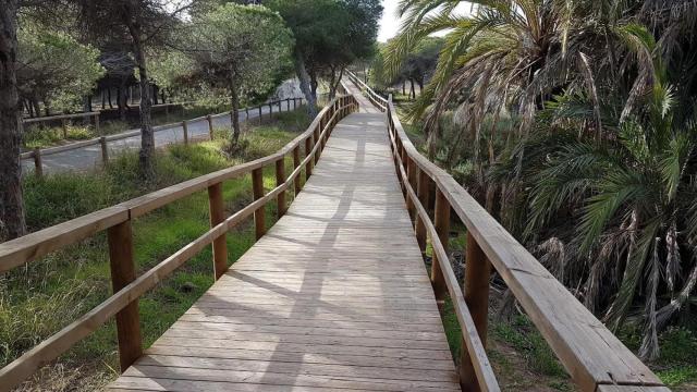 El Parque Alfonso XIII de Guardamar del Segura.