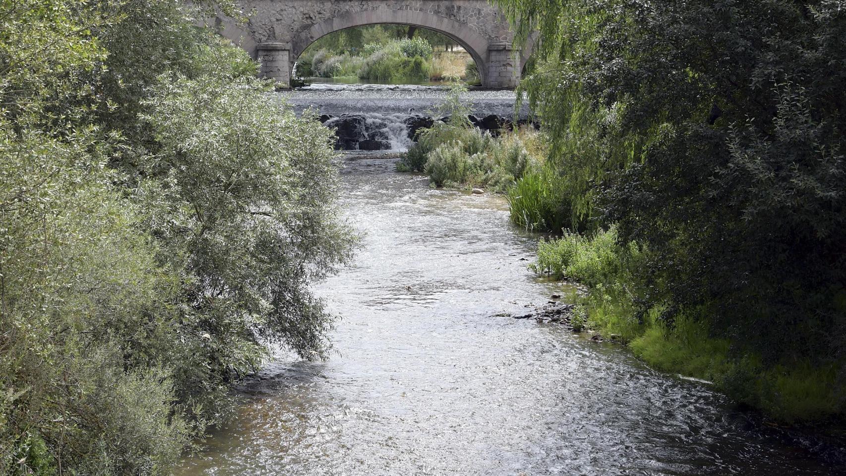 Rio Arlanzón a su paso por la capital burgalesa, lugar donde se cometió la agresión