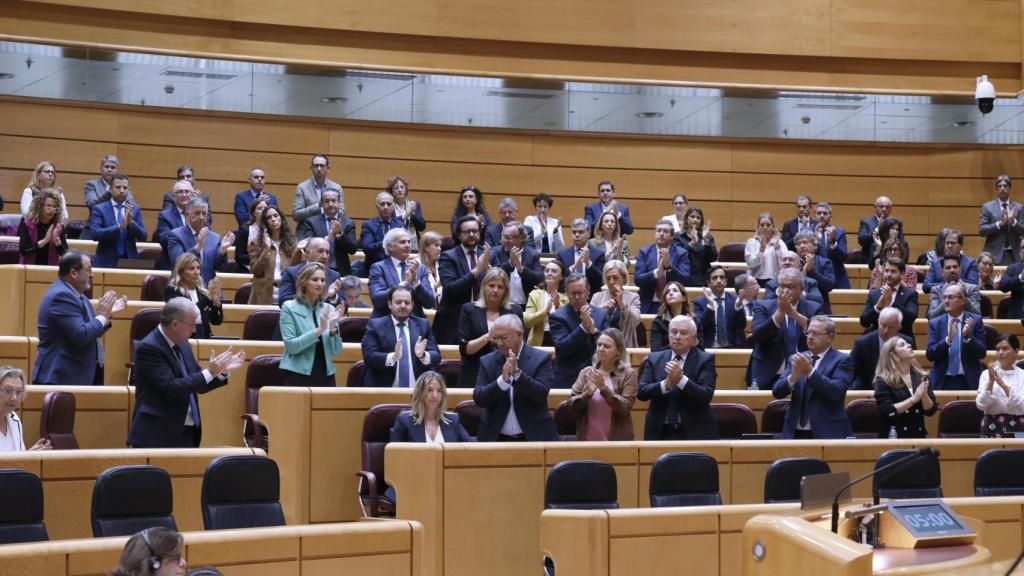 La portavoz popular en el Senado, Alicia García (c), es aplaudida por los miembros de su grupo.