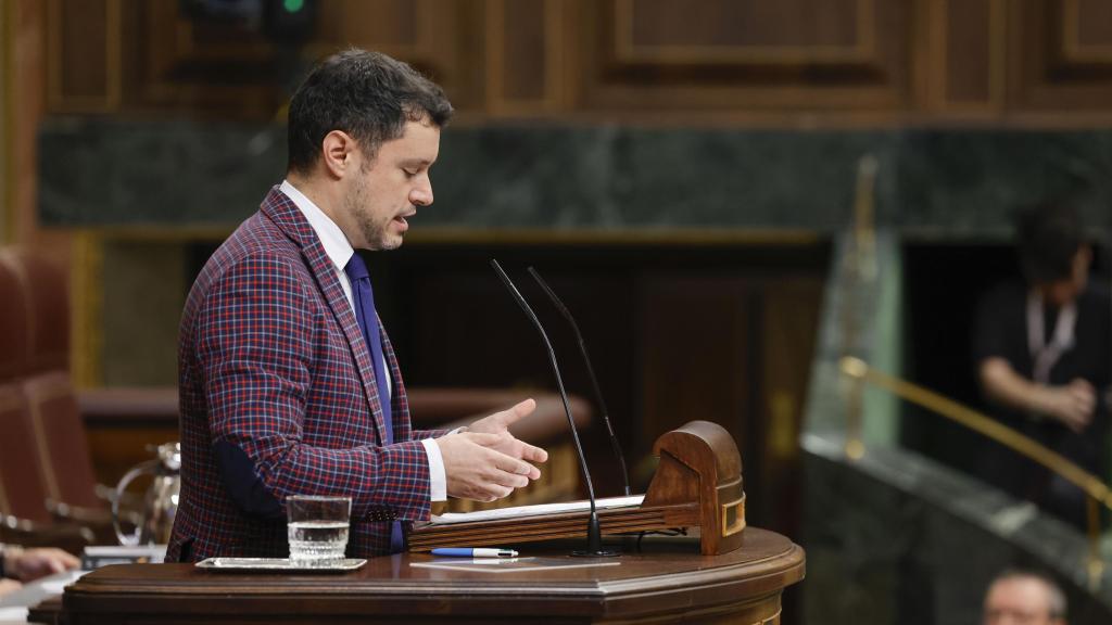 El diputado socialista Raúl Díaz interviene durante el Pleno celebrado este martes en el Congreso.