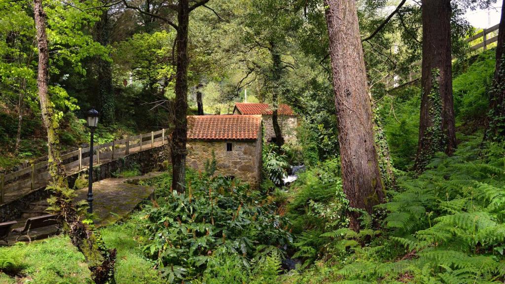 Molinos tradicionales en Cee