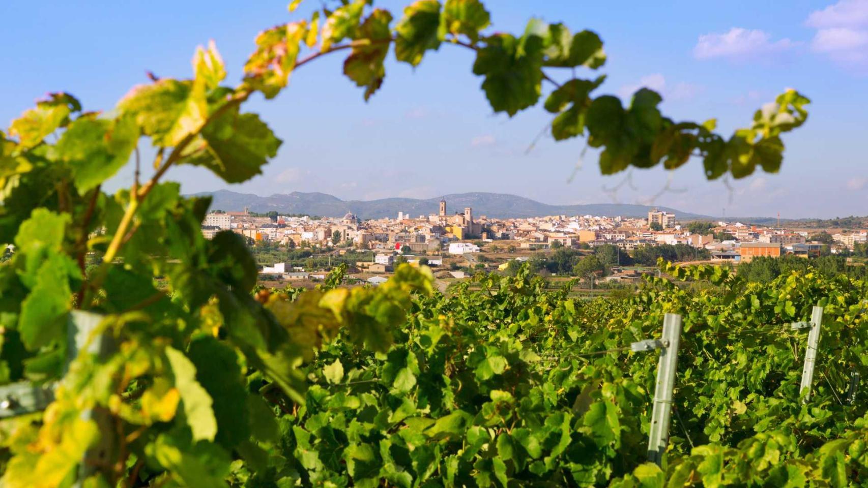 El destino perfecto para una escapada otoñal en Valencia. Turisme Comunitat Valenciana