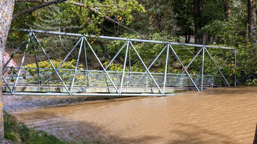 La pasarela se hundió en el río Duero tras caer encima un árbol