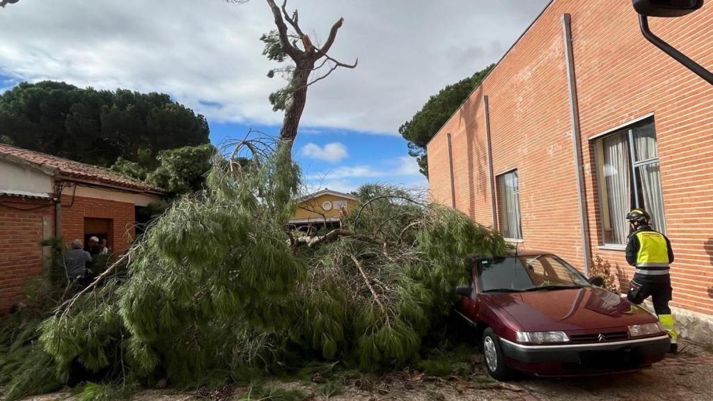 2. Caida de un árbol sobre una vivienda en El Carpio