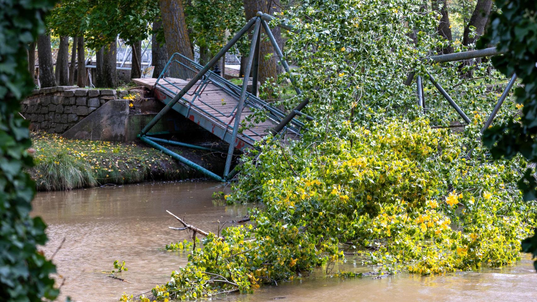 Estado en el que ha quedado la pasarela en el río Duero en Soria tras caerse un árbol