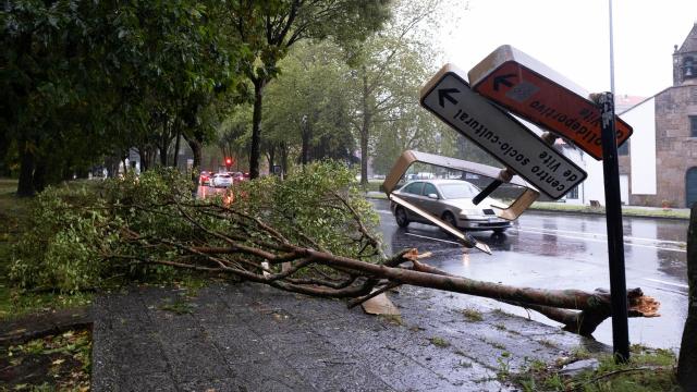 Caida de árboles sobre las señales en la sede central de la Xunta de Galicia en San Caetano, Santiago.