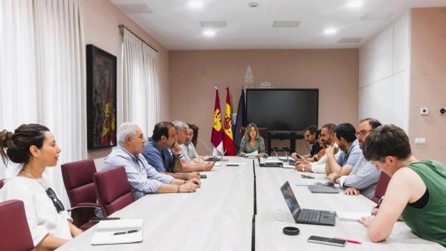 Junta de Gobierno Local de Guadalajara.