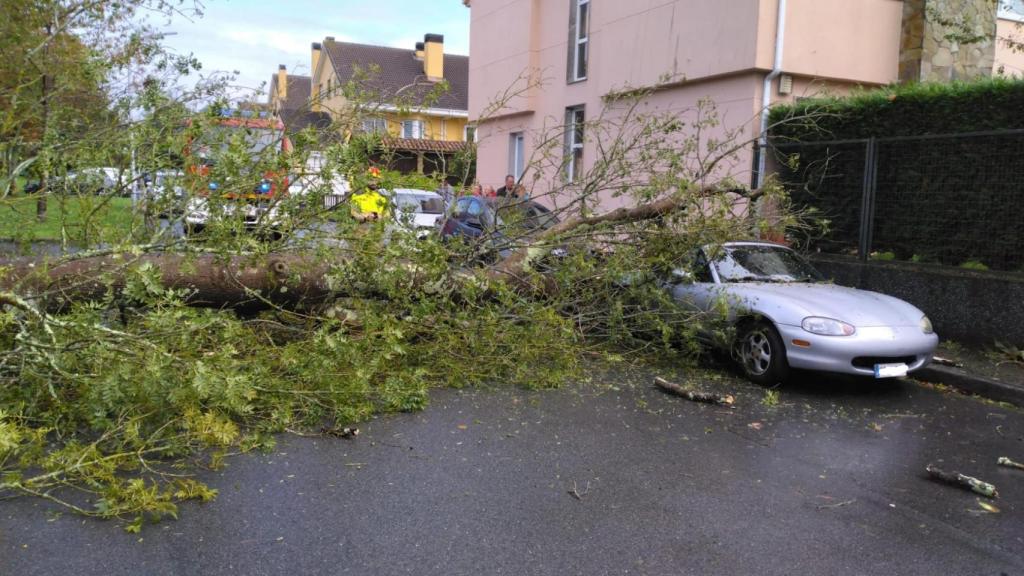 Un árbol de grandes dimensiones causa numerosos daños materiales en un coche en Oleiros (A Coruña)