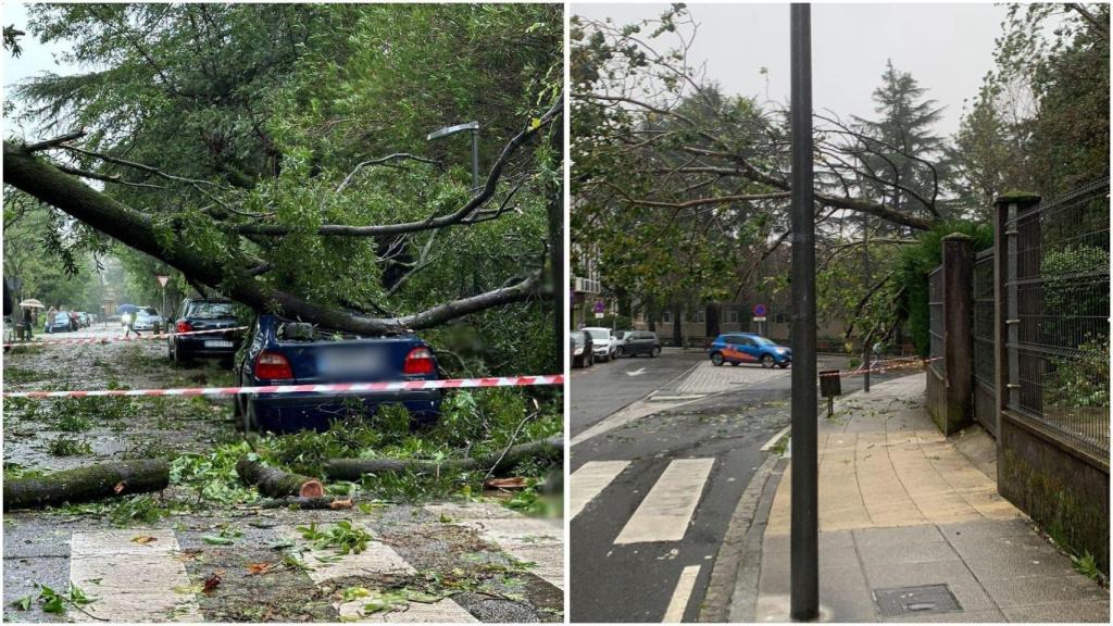 Árboles caídos este miércoles en Santiago.