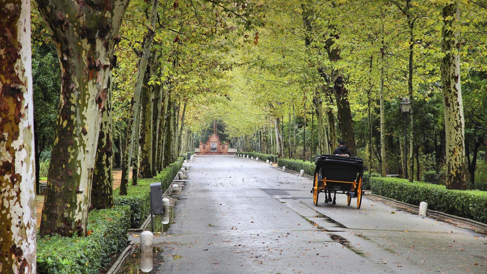 Interior del Parque de María Luisa en Sevilla