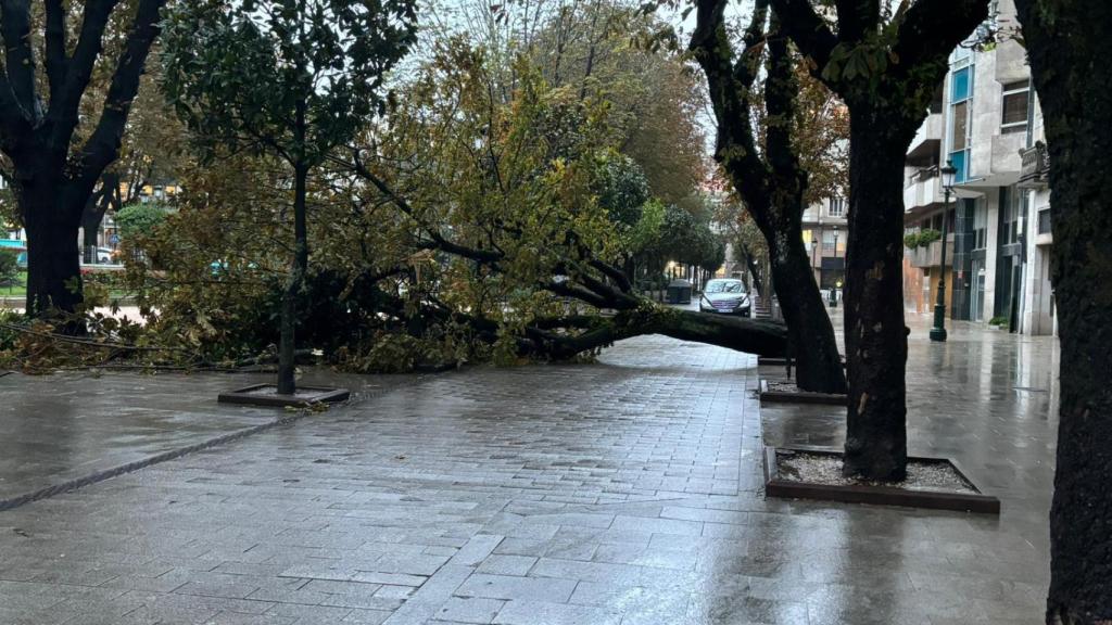 Temporal en Vigo, a octubre de 2024.