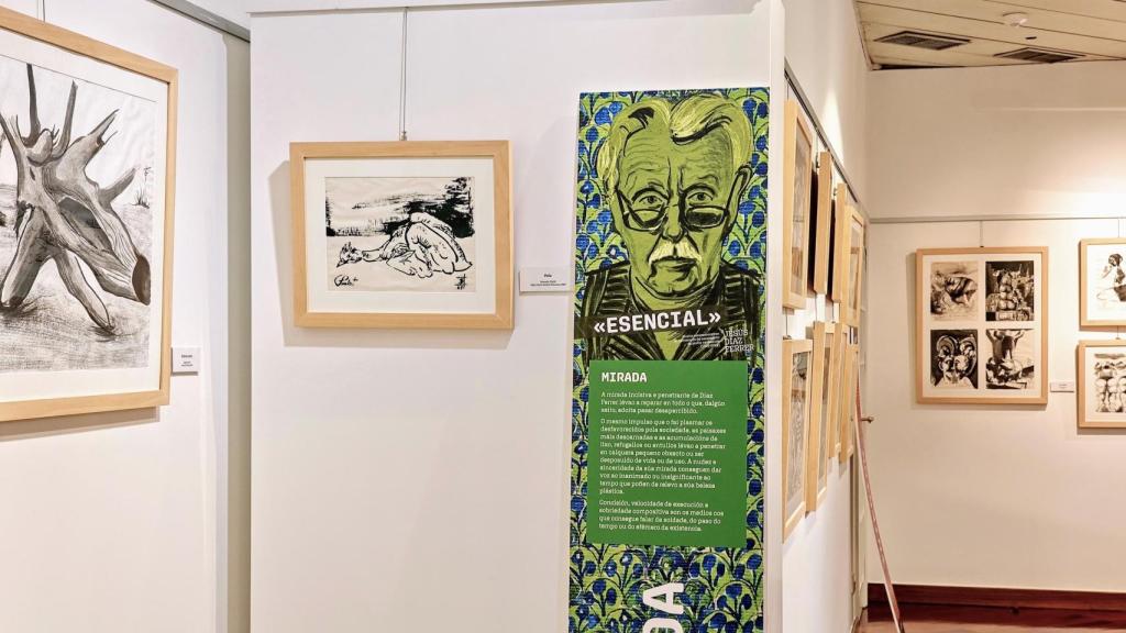 Esencial, la exposición dedicada a Jesús Díaz Ferrer