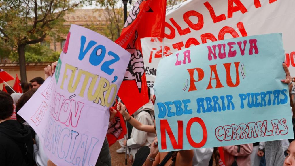 Un grupo de estudiantes se manifiestan en Sevilla.