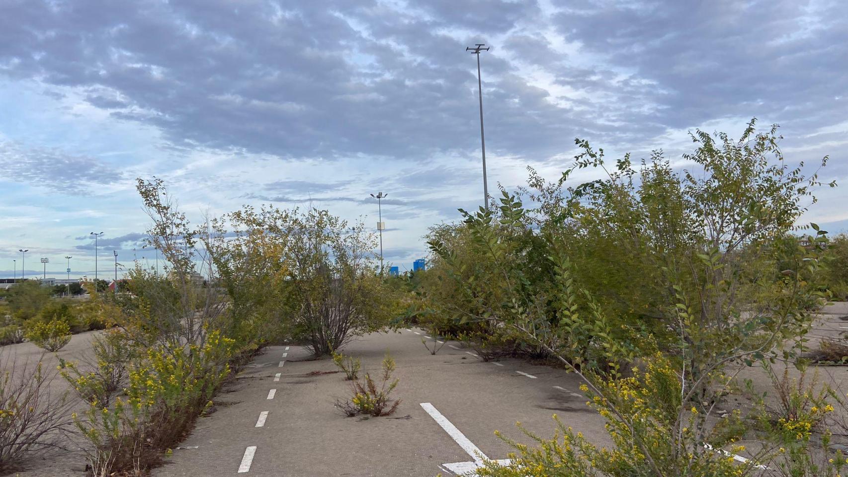 Así se encuentra el Parking Norte antes de su gran transformación en un campo portátil