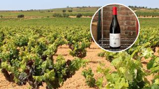 El vino de Castilla-La Mancha que ha conquistado a los expertos y cuesta menos de 10 euros