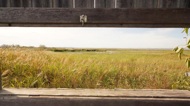 Fotografía del  Parque Nacional de Neusiedlersee-Seewinkel, en Austria.