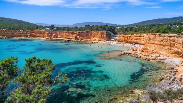 La posidonia de Formentera es patrimonio mundial de UNESCO