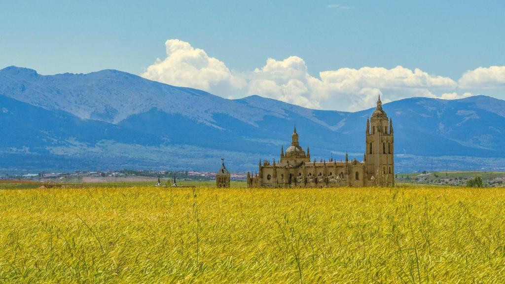 Fotografía ganadora de la primera edición del concurso