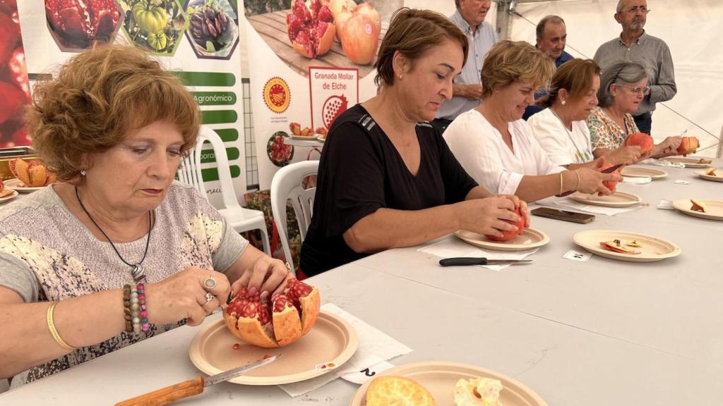 Vicentina Navarro, durante el concurso hecho este domingo en Elche.