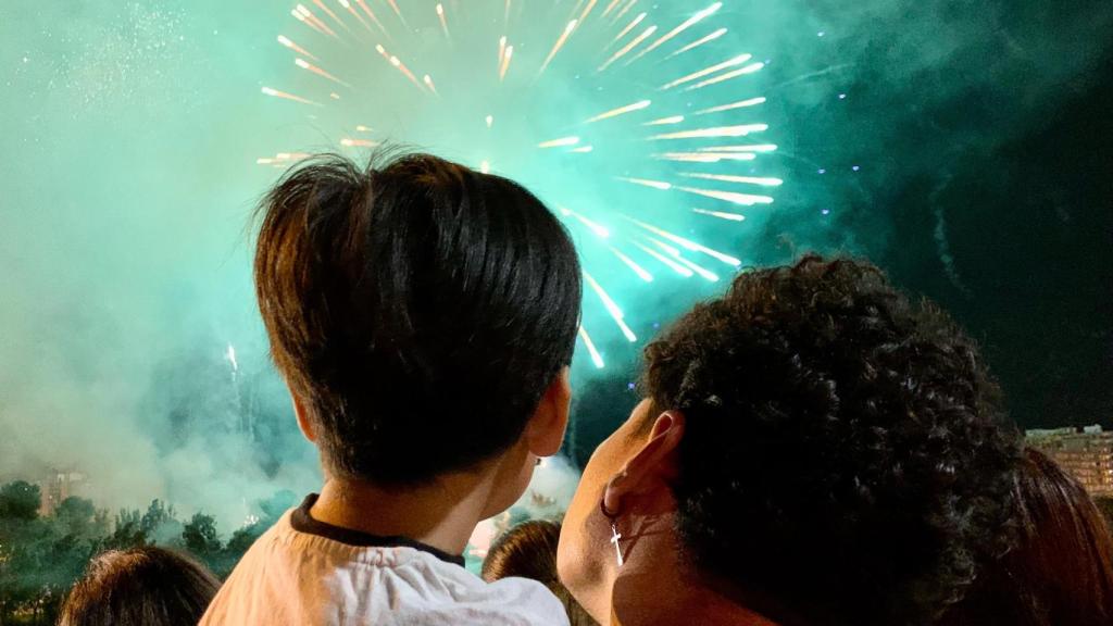 Un niño ve los fuegos artificiales desde el puente de Santiago, en Zaragoza.