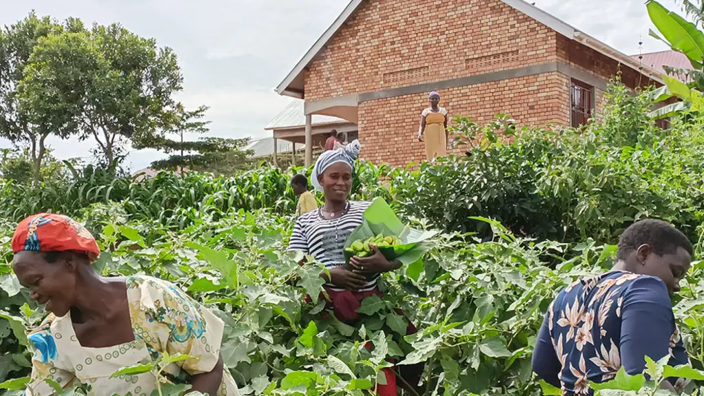 Mujeres de Uganda beneficiarias del programa de microcréditos impulsado por TM Grupo Inmobiliario.