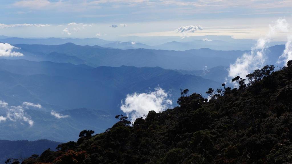 Montaña de Borneo