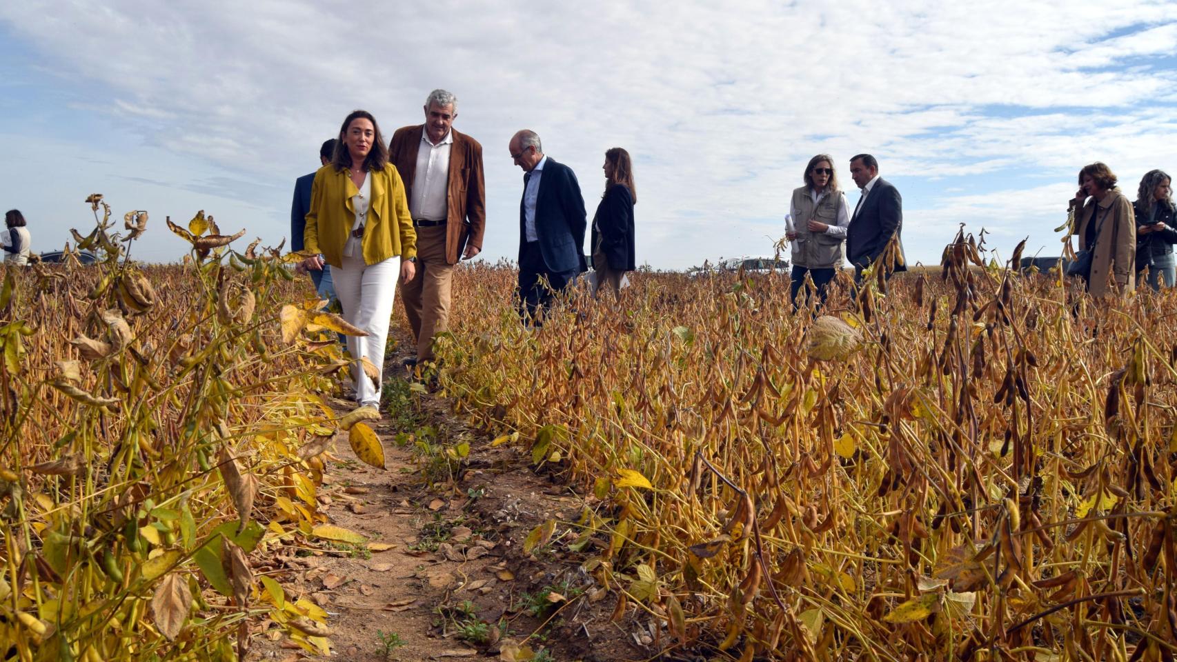 La consejera de Agricultura visita un campo experimental de soja