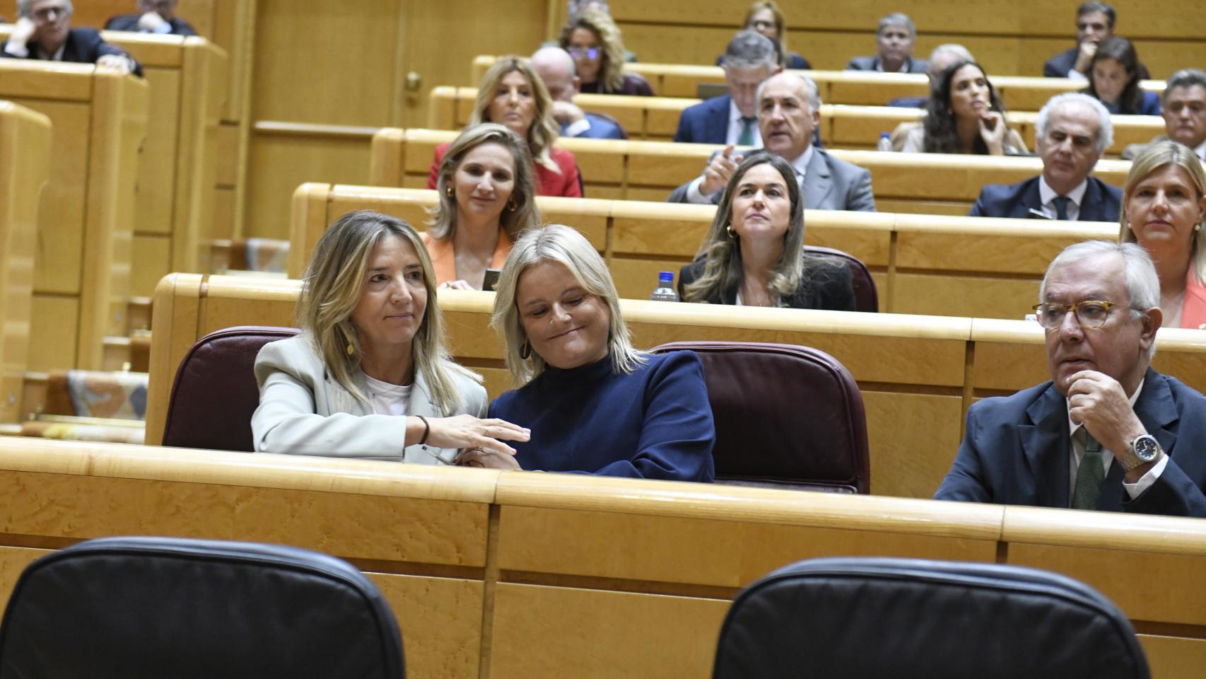 Marimar Blanco este lunes en el Senado.