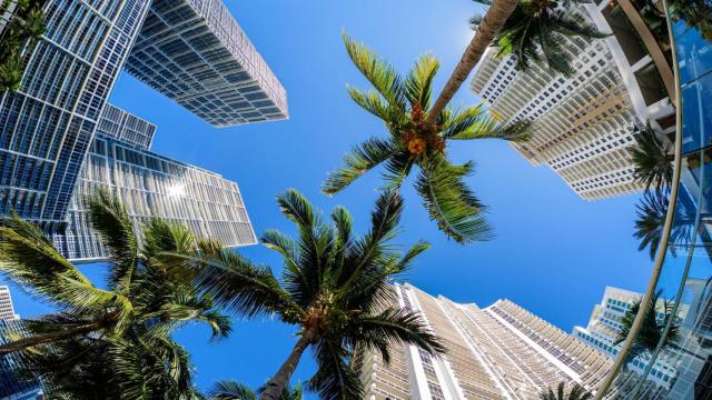 Vista general de una avenida con rascacielos en Miami (EEUU).