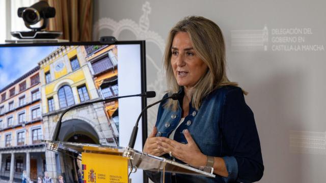 La delegada del Gobierno, Milagros Tolón, este lunes en rueda de prensa.