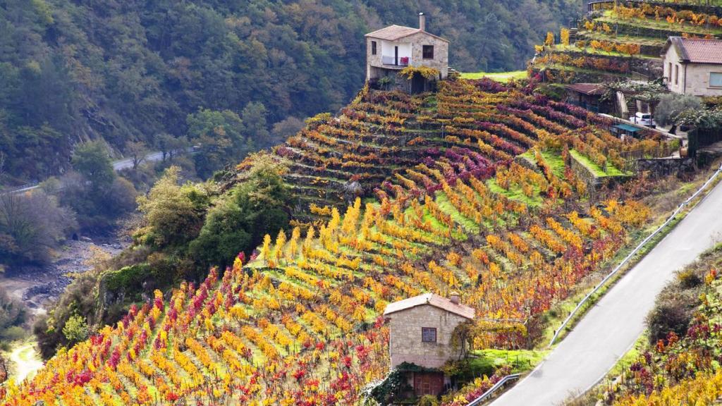 Ribeira Sacra.