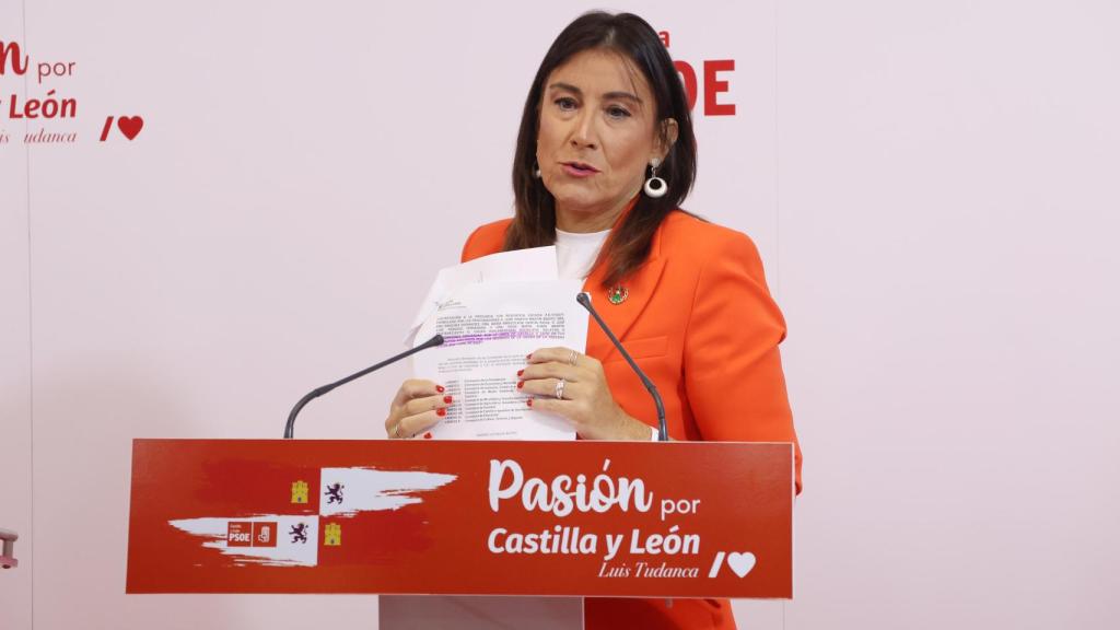 La secretaria de Organización del PSCyL y procuradora socialista por Zamora, Ana Sánchez,